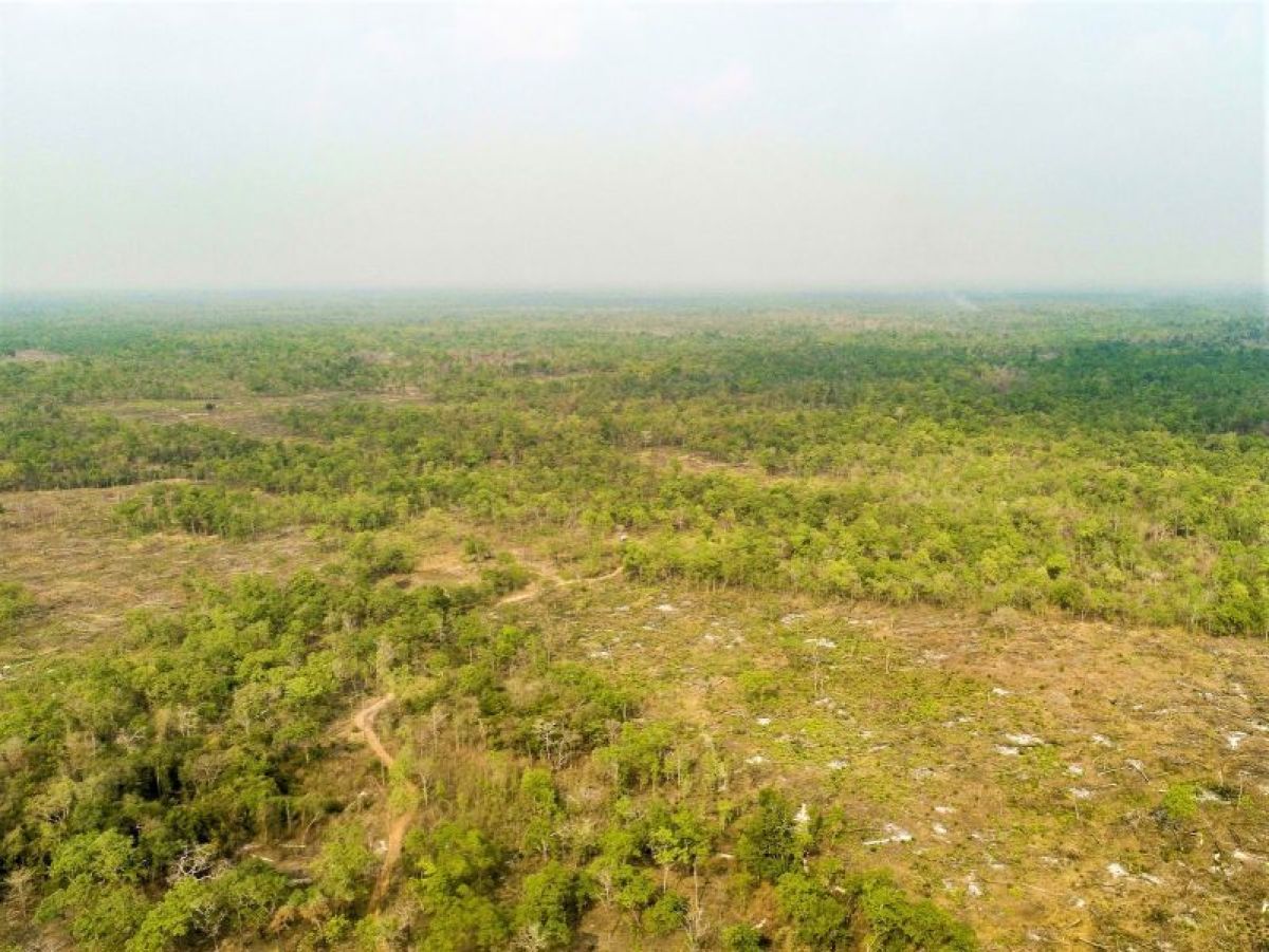 220 Hectare Plantation: Earthworks Design & Material Survey